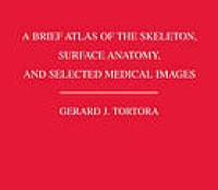 A brief atlas of the skeleton, surface anatomy, and selected medical images