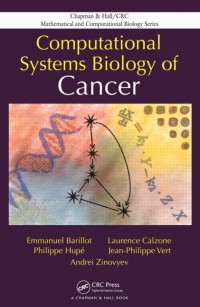 Computational system biology of cancer