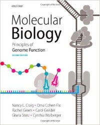 Molecular biology : principles of genome function
