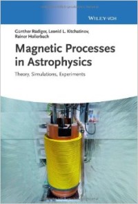 Magnetic processes in astrophysics : theory, simulations, experiments