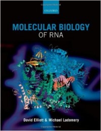 Molecular biology of RNA